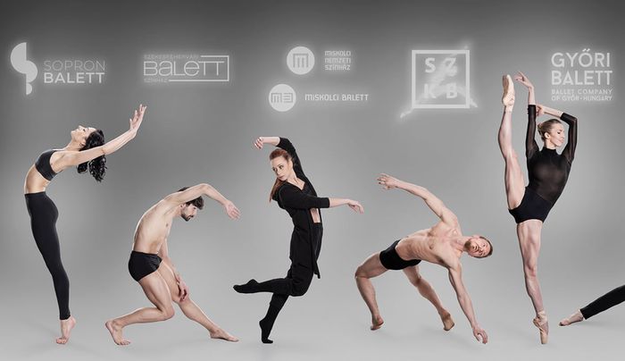 Tánc világnapja - közös videót készített nyolc balettegyüttes